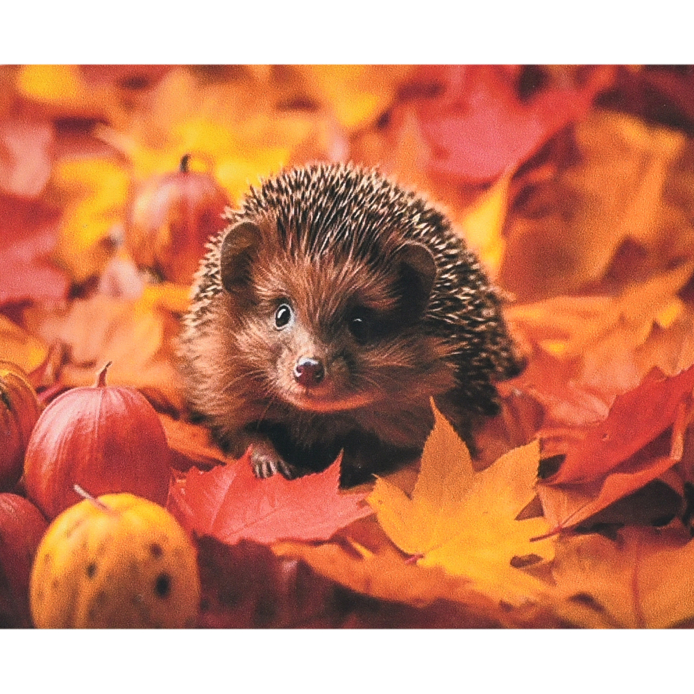 Фото, Видеообзоры алмазна мозаїка strateg преміум осінь у колючках розміром 40х50 см (sk88227)