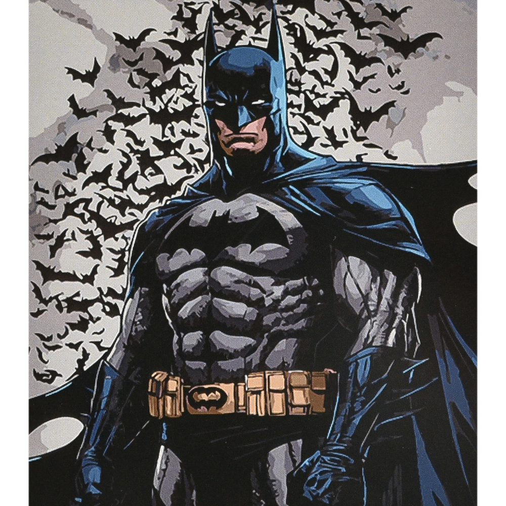 Фото, Видеообзоры картина за номерами strateg преміум герой у накидці з лаком та рівнем розміром 40х50 см (va-4627)