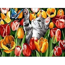 Картина 86318 Кошеня у полі тюльпанів 30*40см алмазна