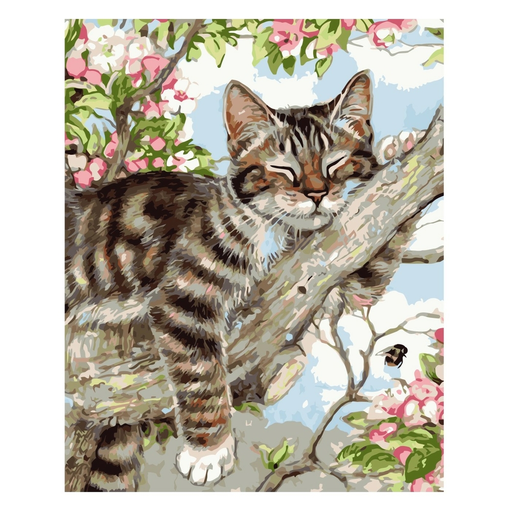 Фото, Видеообзоры картина за номерами strateg преміум котик на гілці з лаком розміром 40х50 см va-0354