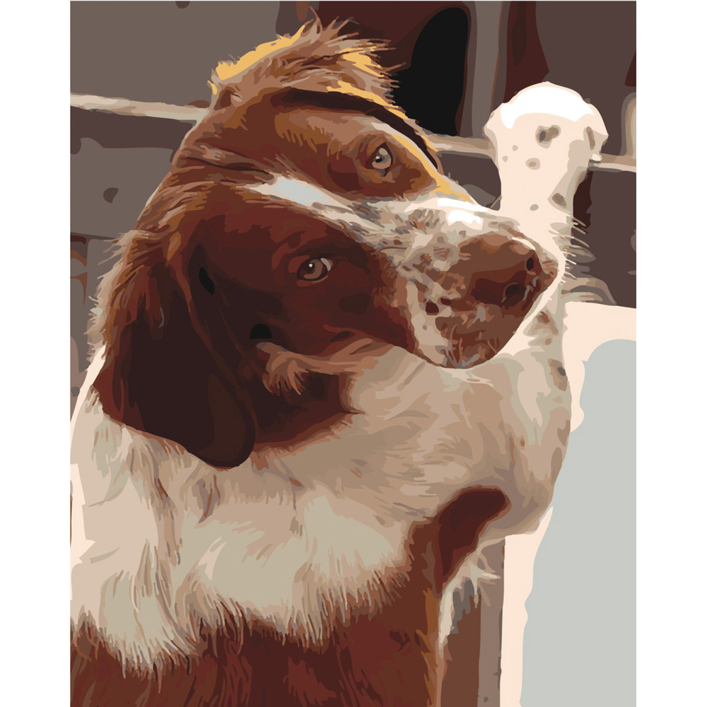 Фото, Відеоогляди картина за номерами strateg преміум відданий погляд з лаком розміром 40х50 см sy6444