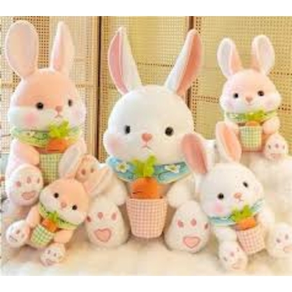 Фото, Відеоогляди 