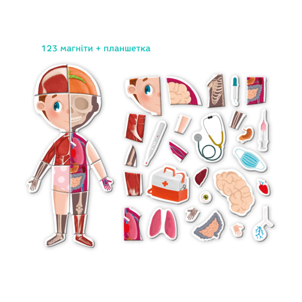 Фото, Видеообзоры розвиваюча гра dodo магнітне тіло