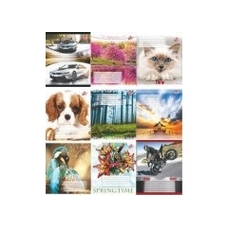 Зошит 18 л лінія 