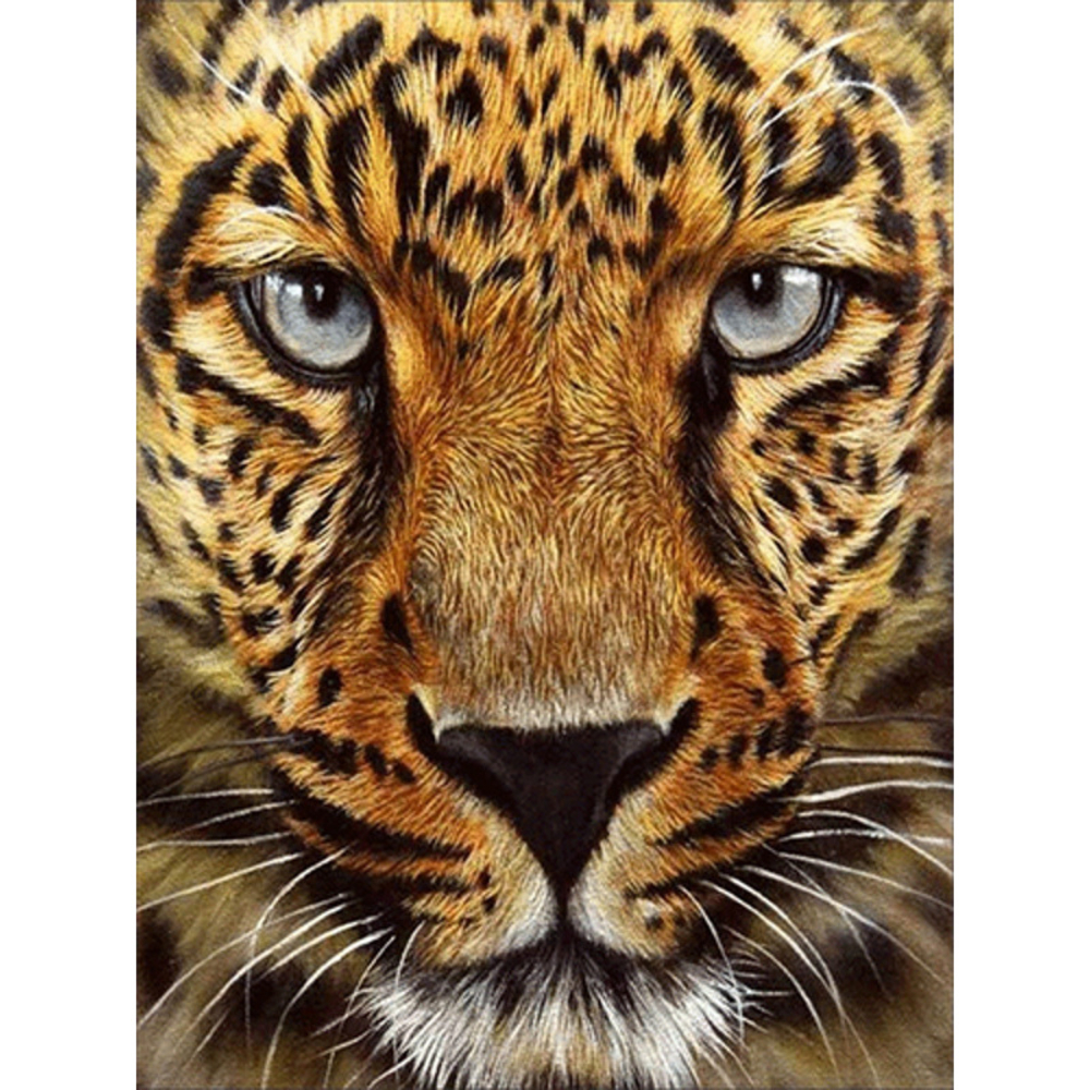 Фото, Відеоогляди алмазна мозаїка strateg преміум гепард без підрамника розміром 30х40 см  (jsdf79613)