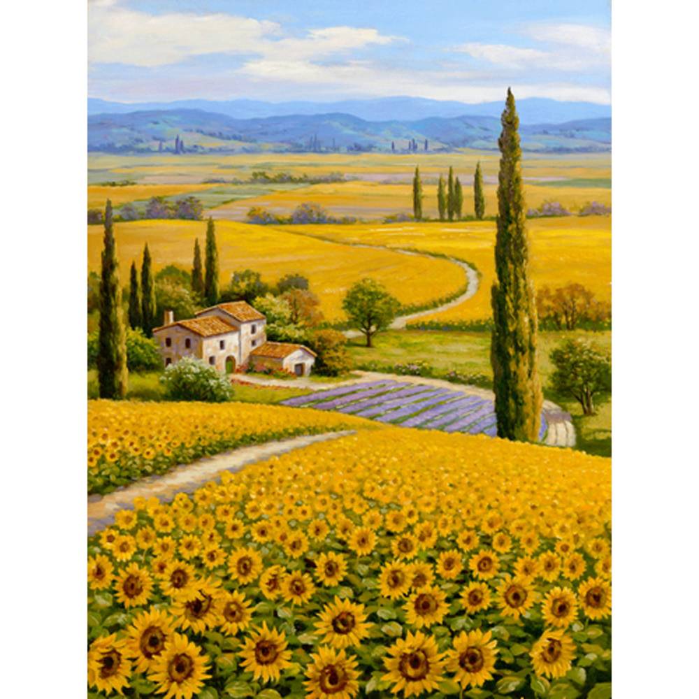 Фото, Видеообзоры алмазна мозаїка strateg преміум рідні поля без підрамника розміром 30х40 см  (jsdf70798)