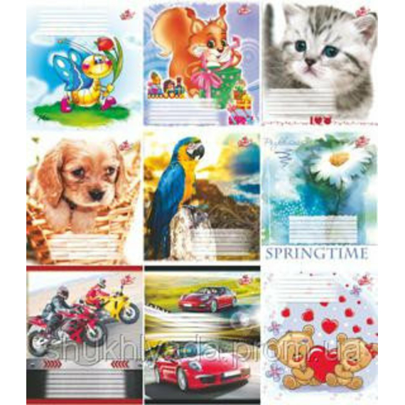 Зошит 12 л клітинка 