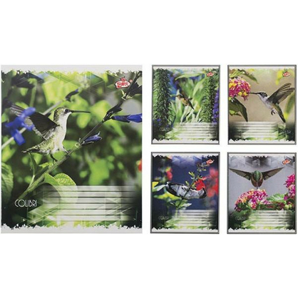 Фото, Видеообзоры 