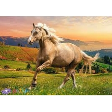 Пазли 37396 Галопом на закаті сонця 500ел.